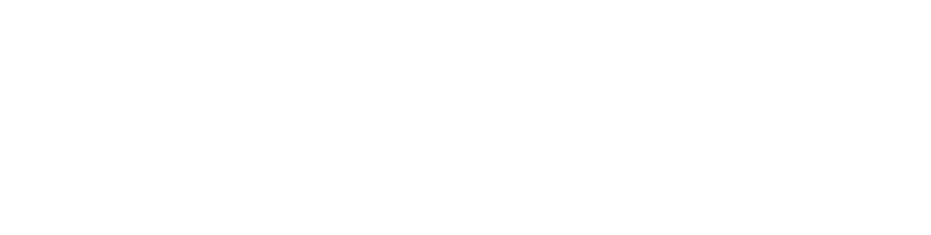 WebPulso
